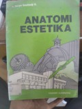 Anatomi Estetika